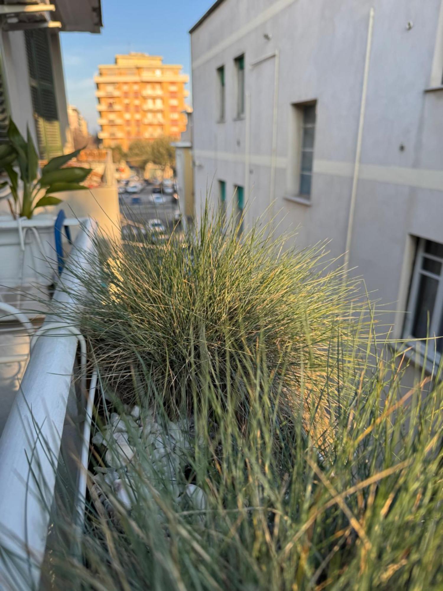 Okra Apartment Pescara Centro Exterior photo